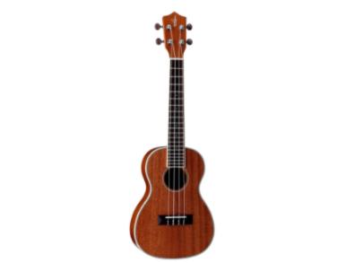 十大最简单的自学乐器(可简单自学乐器前十名) 十大最简单的自学乐器(可简单自学乐器前十名)