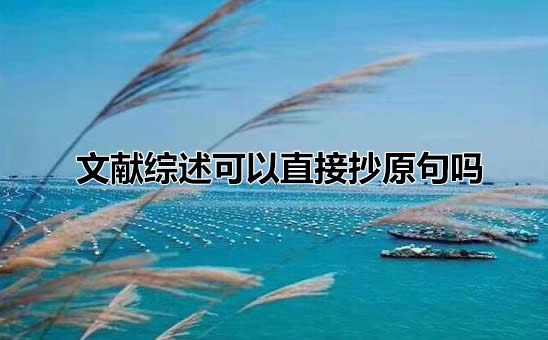 文献综述可以直接抄原句吗
