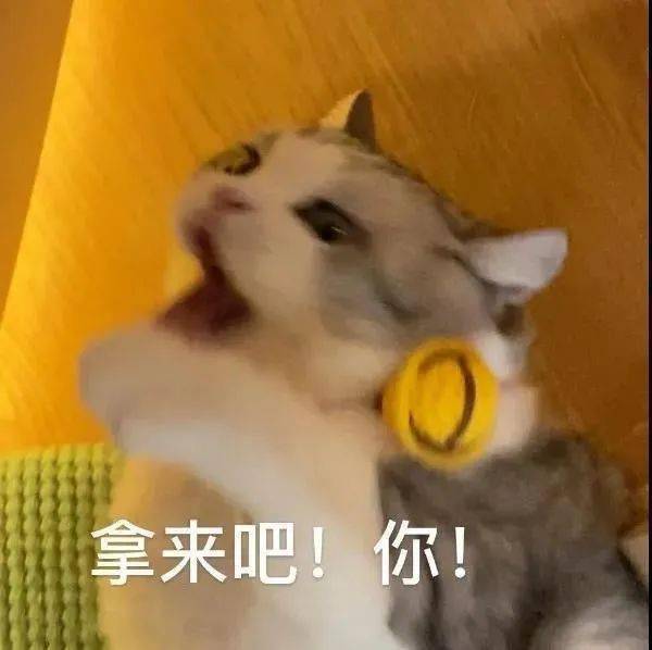 史上最欠揍的表情包 精选欠揍又搞怪的表情包