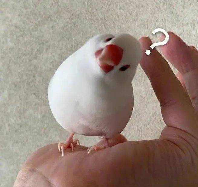 史上最欠揍的表情包 精选欠揍又搞怪的表情包