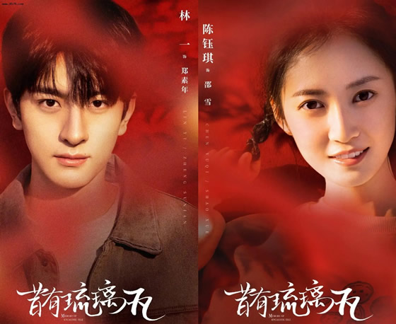 2022热播电视剧排行榜前十名 2022热播电视剧排行榜前十名