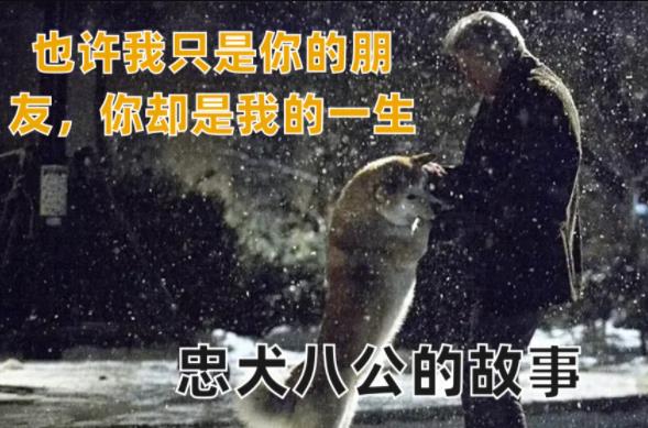 豆瓣评分9.0以上的电影6部