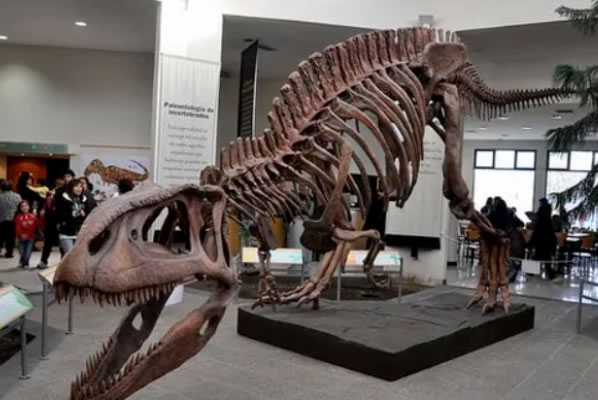 十大最强恐龙(十大最强恐龙排名图片)