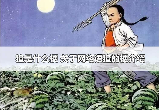 猹是什么梗 关于网络语猹的梗介绍