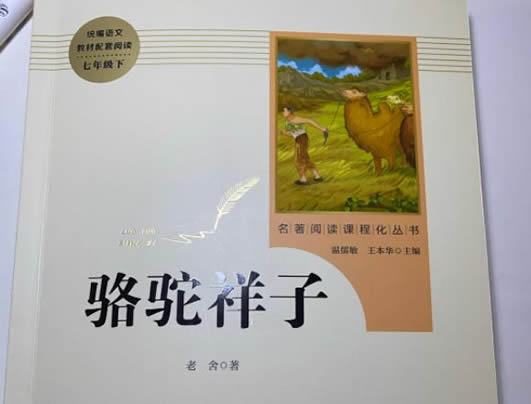 骆驼祥子第十一章主要内容(骆驼祥子第十一章概括)