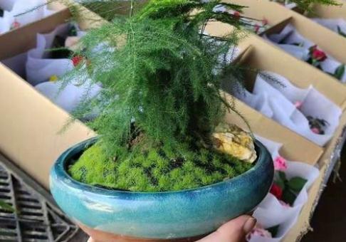 想做小生意又能带孩子(适合宝妈一个人做的生意)