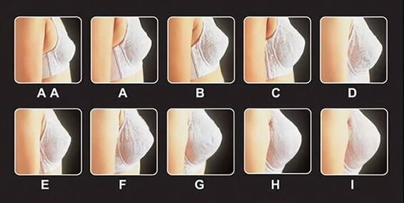 怎么判断自己是abcd罩杯(罩杯abcd大小区分图解罩杯尺寸)