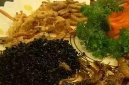 世界上最恶心的昆虫(盘点最恶心的昆虫大餐)