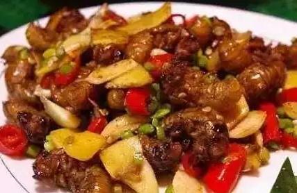 世界上最恶心的昆虫(盘点最恶心的昆虫大餐)