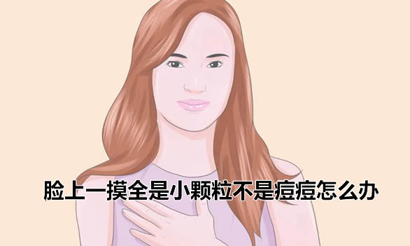 脸上一摸全是小颗粒不是痘痘怎么办