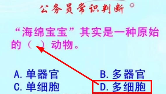 海绵宝宝是一种原始的什么动物