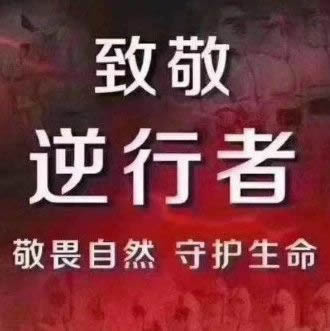 盘点那些最美逆行者好句摘抄 盘点那些最美逆行者好句摘抄