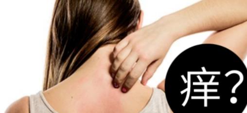 被螨虫叮咬了的症状图片及去除方法汇总