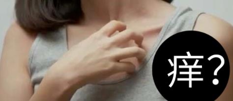 被螨虫叮咬了的症状图片及去除方法汇总