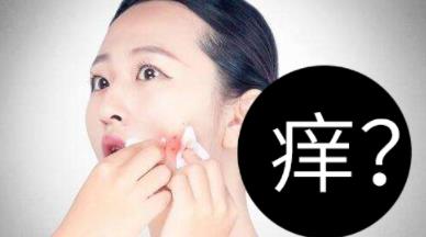 被螨虫叮咬了的症状图片及去除方法汇总