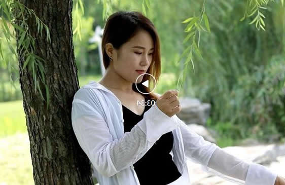 综合80后100首必听经典老歌之一 综合80后100首必听经典老歌之一