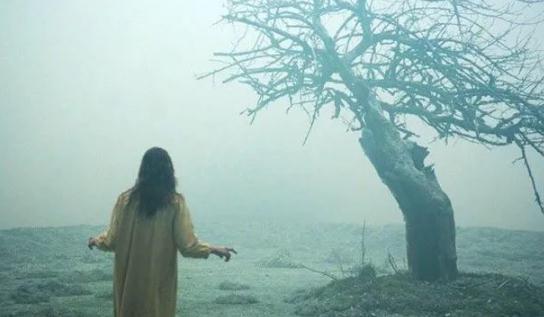 评分9.0以上的鬼片，世界各国鬼片题材汇总