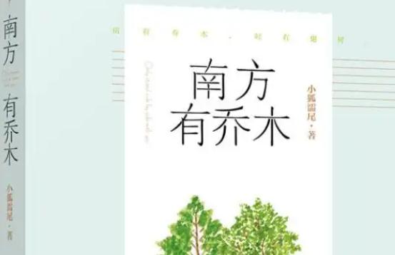 推荐10本宠文女主软糯但胸大h糙汉文