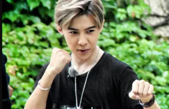 唐禹哲个人资料简介及家境,唐禹哲不红原因是什么呢 唐禹哲个人资料简介及家境,唐禹哲不红原因是什么呢