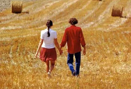 精选好看的10部理伦片欧美，每一部都是豆瓣高评分