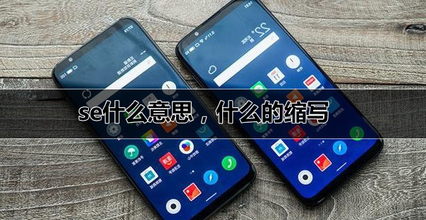 se什么意思,什么的缩写 se什么意思,什么的缩写