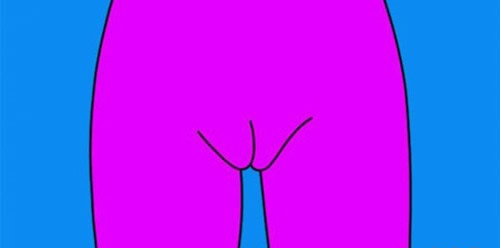 女性私密部位图科普，外阴结构样子图(涨知识)