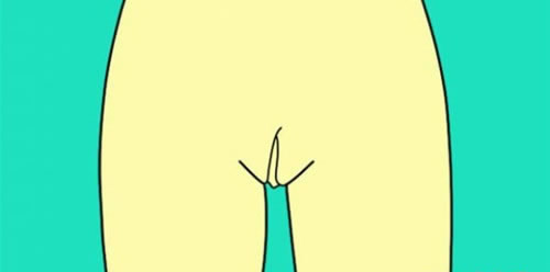 女性私密部位图科普，外阴结构样子图(涨知识)