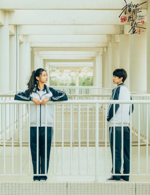 推荐口碑15部高分烧脑反转悬疑电视剧