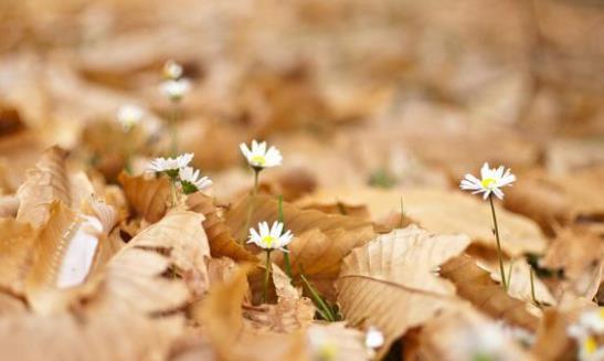 男人其实喜欢缠着他的女人(真爱)