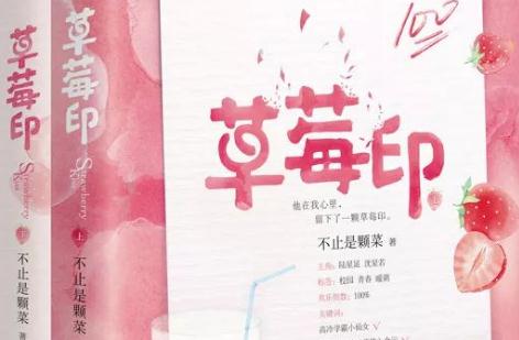 超甜言情校园青春小说(20本甜宠青春校园文)