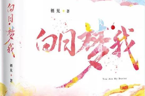 超甜言情校园青春小说(20本甜宠青春校园文)