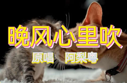 什么歌曲好听最火2022，《一路生花》听一遍就爱上