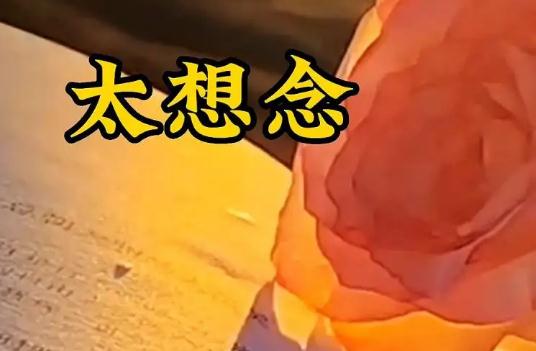 什么歌曲好听最火2022，《一路生花》听一遍就爱上