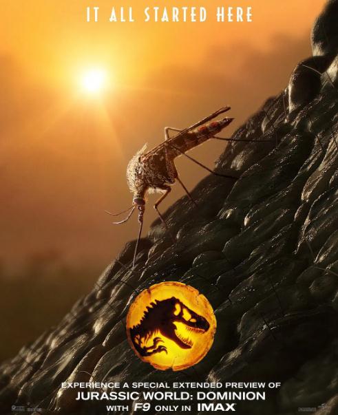 2022年十大必看电影，高分电影2022新上映电影推荐