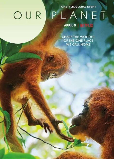 2022高评10部Netflix电影,网飞netflix片单神剧排行 2022高评10部Netflix电影,网飞netflix片单神剧排行