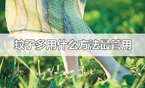蚊子多用什么方法最管用(10个实用无害除蚊方法)