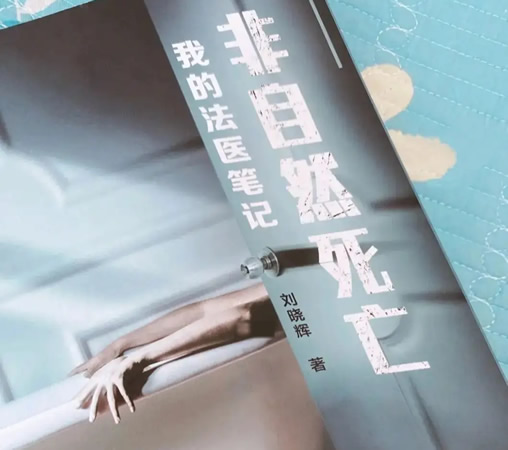 推荐10部口碑好的高智商推理破案小说