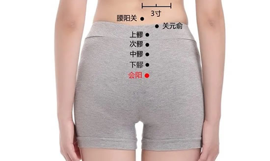 会阳的准确位置图片及作用(男女会阳穴的位置图)