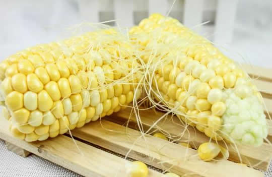 一根玉米相当几碗米饭(3/4碗米饭)