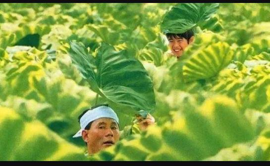 2020暑假孩子看的5部电影