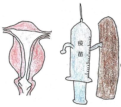 关于HPV及HPV疫苗常见问题汇总(完整版) 关于HPV及HPV疫苗常见问题汇总(完整版)
