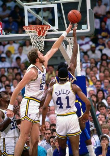 DPOY什么意思(最佳防守队员)