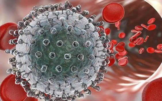 女性hpv最明显的征兆(汇总hpv自查的10个方法) 女性hpv最明显的征兆(汇总hpv自查的10个方法)