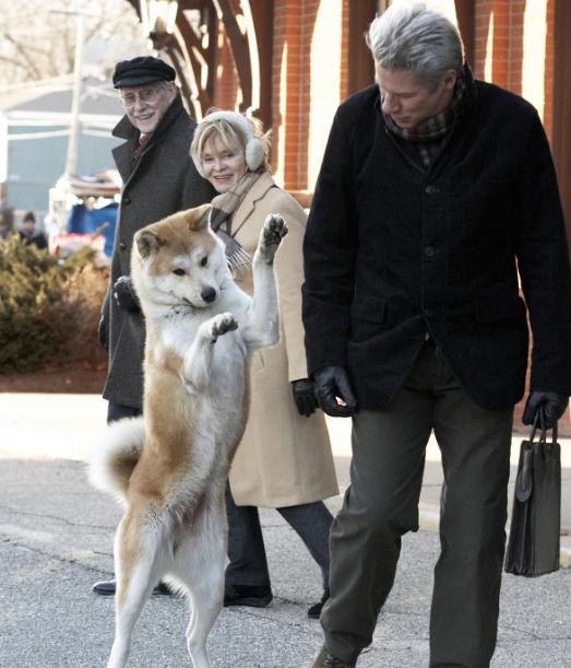 值得反复看的20部电影(剧荒必备)