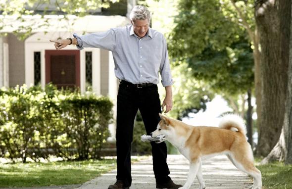 值得反复看的20部电影(剧荒必备)