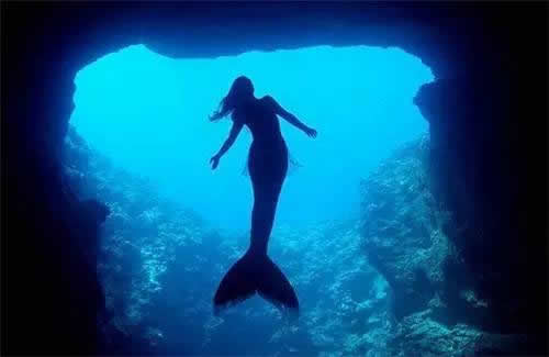 美人鱼真身恐怖吓人：带你欣赏真实美人鱼图片（慎入）