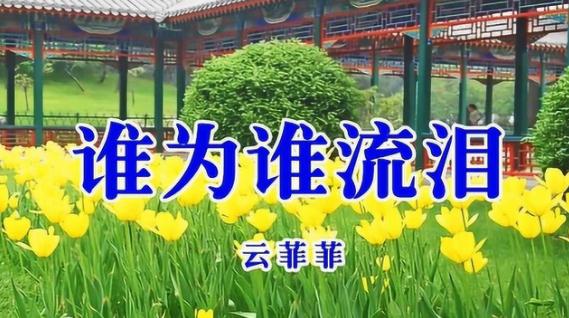 云菲菲最好听的歌12首(综合精选) 云菲菲最好听的歌12首(综合精选)