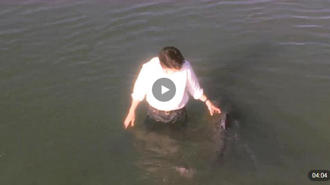 人生必看的二十部电影 改变人生世界观的电影推荐