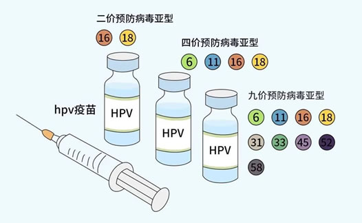 女性hpv疫苗有必要打吗?hpv疫苗知识解读 女性hpv疫苗有必要打吗?hpv疫苗知识解读