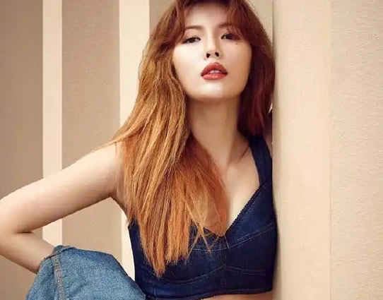 人气韩国十大女歌手(汇总韩国16位知名女歌手)